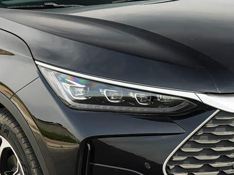 2025�� DM-i 175KM �캽��