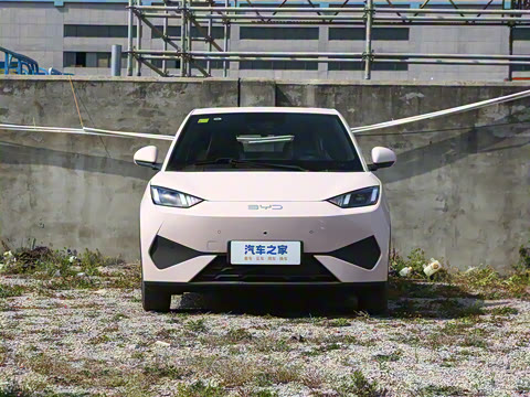 2025�� �Ǽݰ� 305km ���ɰ�