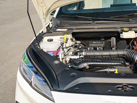 2025�� DM-i �Ǽݰ� 80KM������