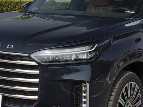 2025�� 180 ��������Max���� 7��