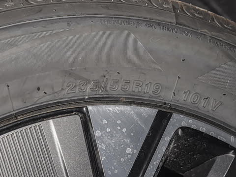 2025�� ������ 5��