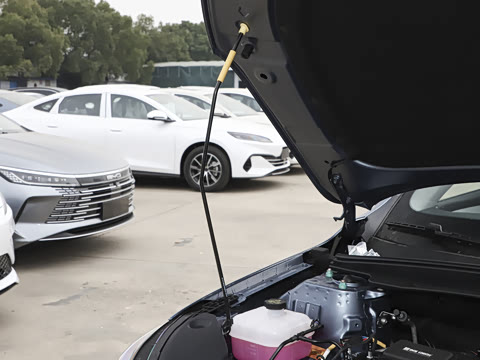 2025�� DM-i �Ǽݰ� 55KM������