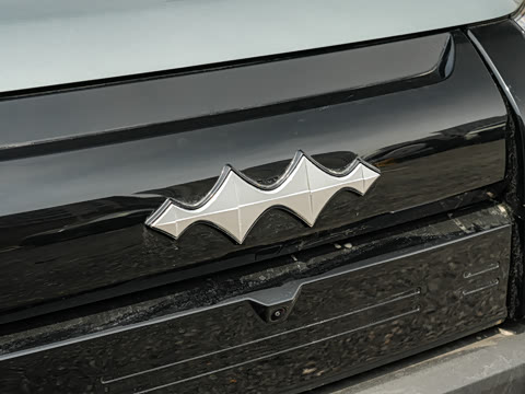 2025�� 501KM ����Max��