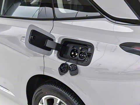 2024�� 115km ��Ϊ��