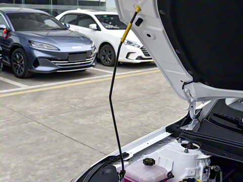 2025�� DM-i �Ǽݰ� 55KM������