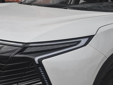 2024�� 1.6T ��ԭ�� 7��