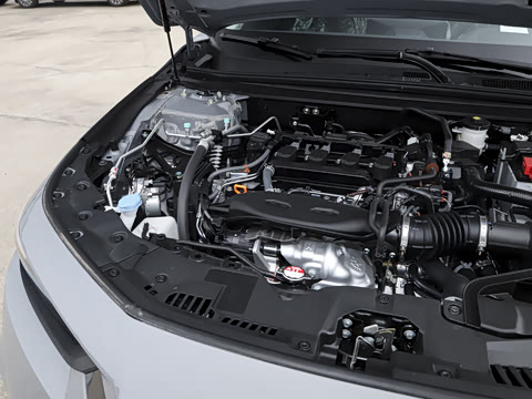 2025�� 260TURBO ��Ӣ��