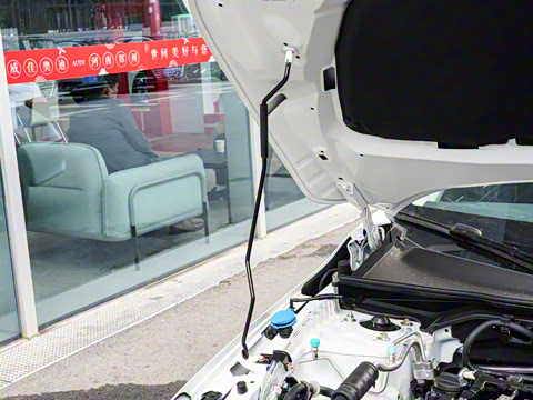 2025�� 240TURBO CVT ��ȤPlus