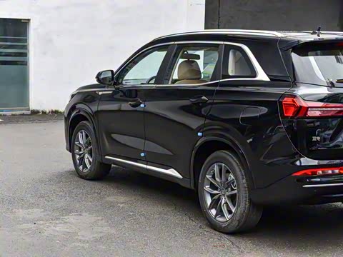 2025�� 165km ������������ 7��