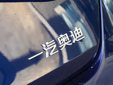 2025�� A3L Limousine 35TFSI �ɳ�������