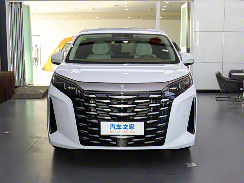 2025�� DM-i 1.5T 180km ׿Խ��