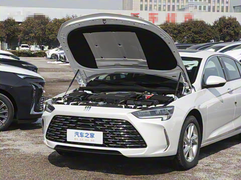 2024�� �Ŀ� 25T ������