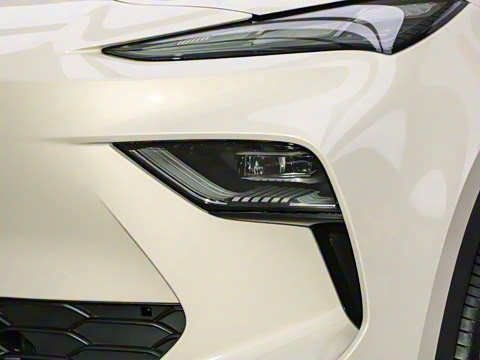 2025�� 425pro ������