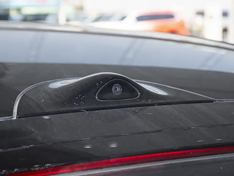 2024�� Max ����������