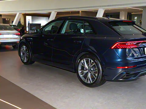 2023�� 55 TFSI ����������