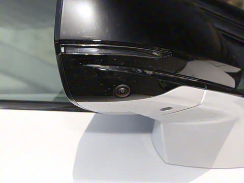 2024�� ������������