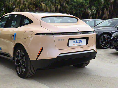 2025�� Max �����