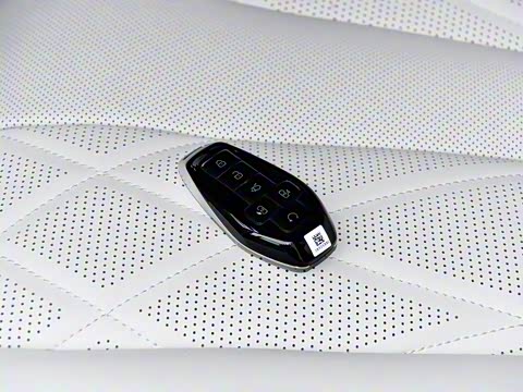 2025�� DM-i �Ǽݰ� 1100 ������