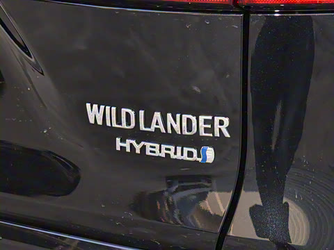 2024�� ˫�� 2.5L E-CVT��������PLUS��