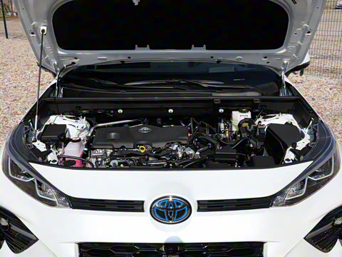 2024�� ˫�� 2.5L E-CVT��������