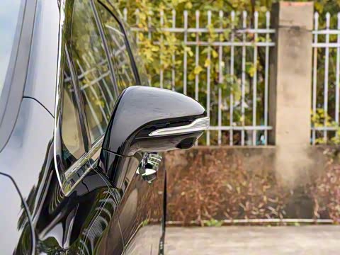 2025�� EV �������������