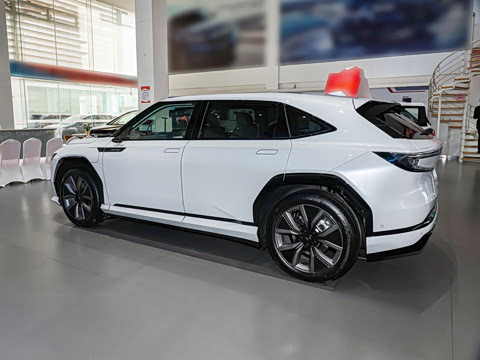 2025�� ����������Pro