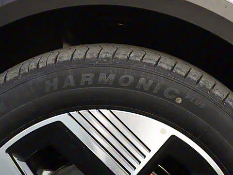 2025�� 565km ������