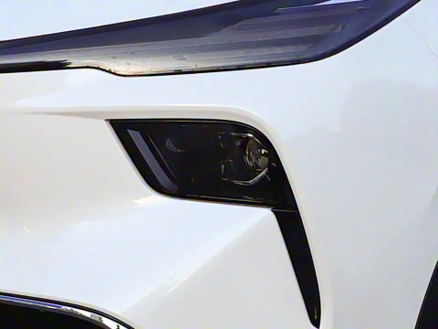 2025�� 565km ������