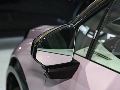 2025�� ����������