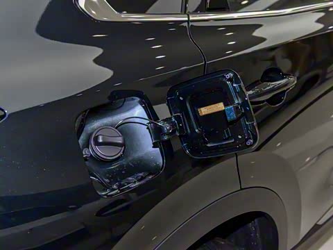 2025�� ���ն��� 1.5T �����