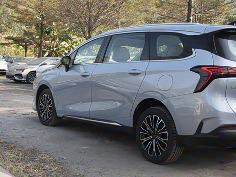 2025�� PHEV ������ 7��