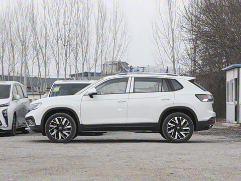 2025�� ������ 330TSI