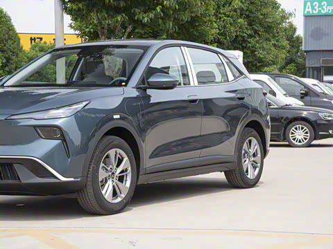 2025�� 445km ��ѡ��