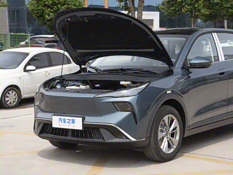 2025�� 445km ��ѡ��