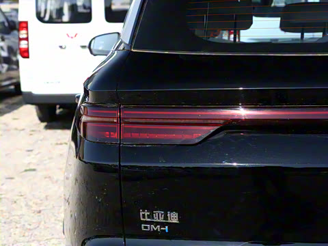 2025�� �ڶ��� DM-i 115KM��Խ��