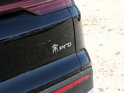 2025�� �ڶ��� DM-i 115KM��Խ��