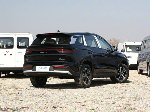 2025�� �ڶ��� DM-i 115KM��Խ��