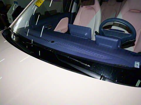 2025�� 305km ������