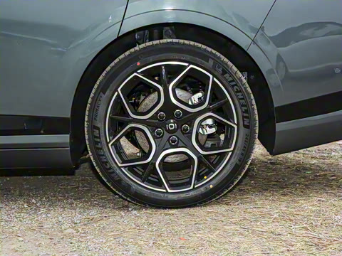 2025�� �������̰� 230�콢��