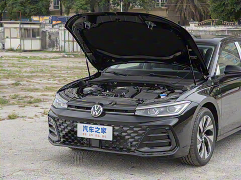 2025�� Pro 300TSI �ǿ���ҫ��