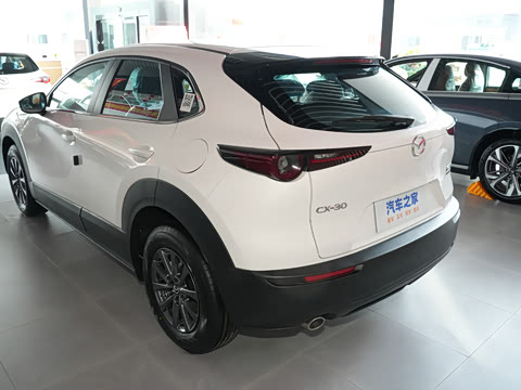 2024�� 2.0L �ֶ�������