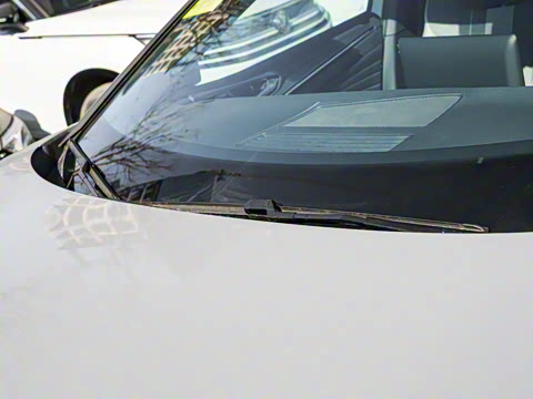 2025�� ������