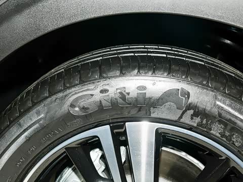 2025�� �콢��