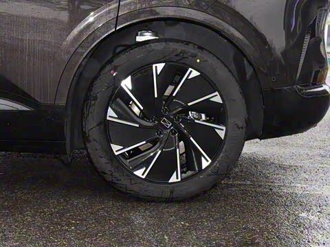 2024�� Max���������