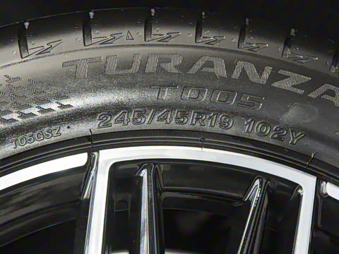 2025�� DM-p ���������״��콢��