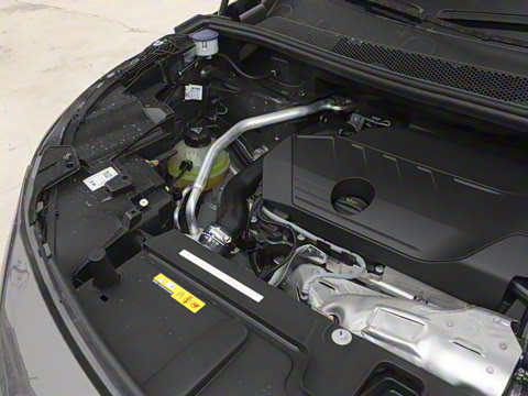 2025�� ������