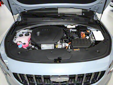 2024�� �ͻ� 1.5TD �ǺӰ�