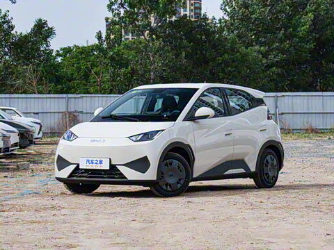 2025�� �Ǽݰ� 305km ������