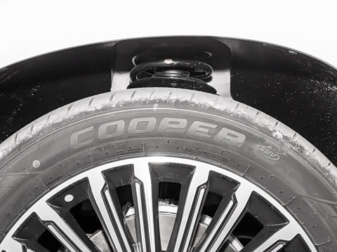 2025�� 1.5T 106KM������ 5�� �������