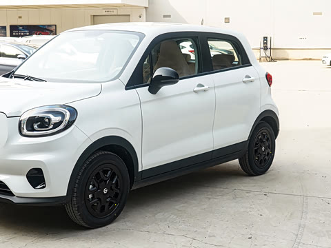 2025�� 310������